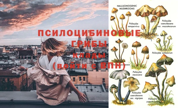 спиды Балабаново