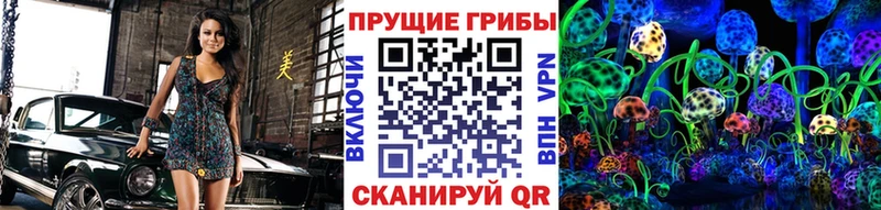 Псилоцибиновые грибы мухоморы  купить наркотик  кракен онион  маркетплейс состав  Онега 
